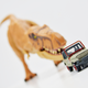 Illustration for article titled Welcome to the Jungle: Matchbox Jurassic Legacy Collection